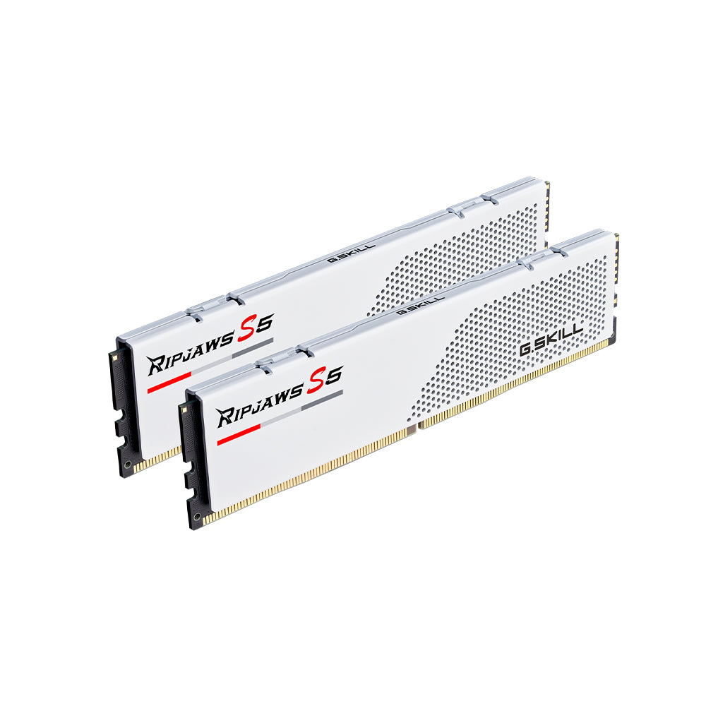 G.skill Ripjaws S5 32GB (2x16GB) DDR5-5600 CL36-36-36-89 1.20V Intel XMP (F5-5600J3636C16GX2-RS5W)