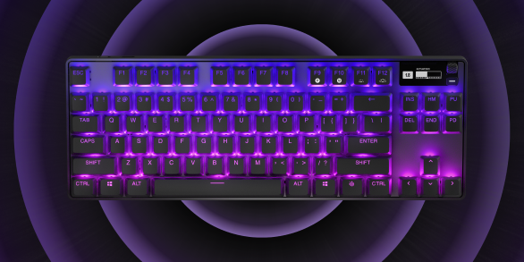 Steel Series APEX PRO TKL WIRELESS (2023) Tenkeyless Esports Keyboard with Adjustable Switches (64865)