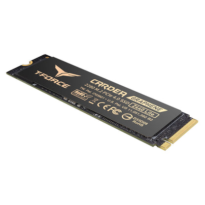 TEAMGROUP T-FORCE Z440 LITE 1TB NVMe