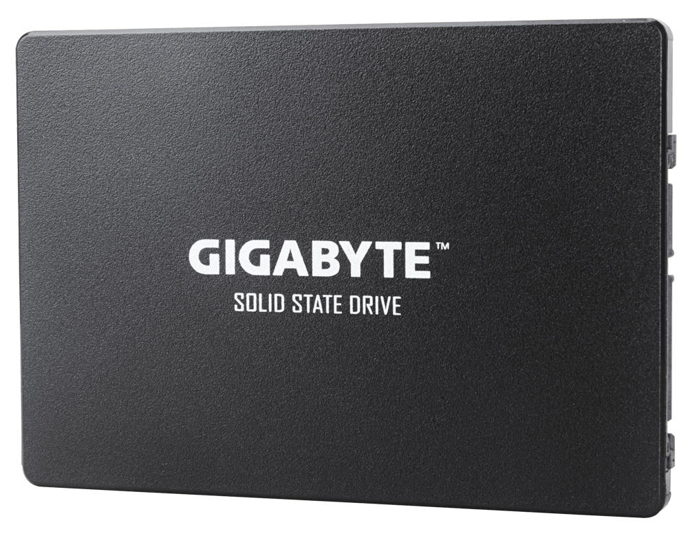 GIGABYTE SSD 1TB (GP-GSTFS31100TNTD)
