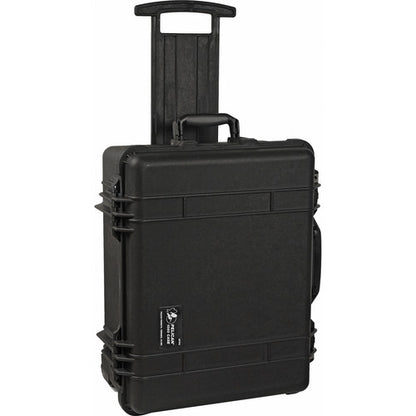 Pelican 1560 with Black Divider, black (1560-004-110)