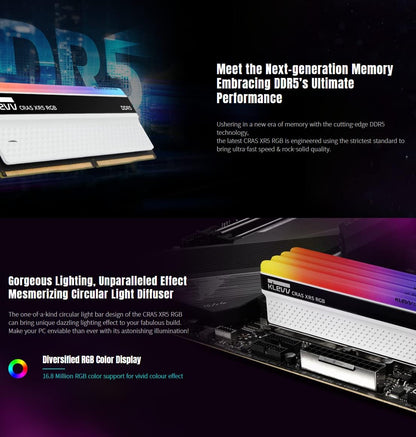 KLEVV Cras XR5 RGB (16GB x 2) DDR5-6000 (KD5AGUA80-60E400S)