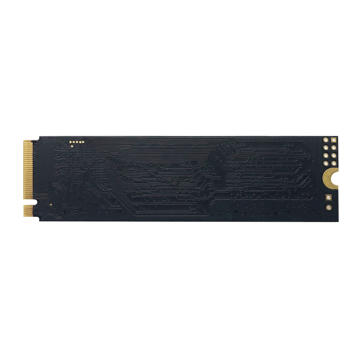 Patriot P300 m.2 2280 PCIe Gen3 x4 SSD - 512GB | 1TB