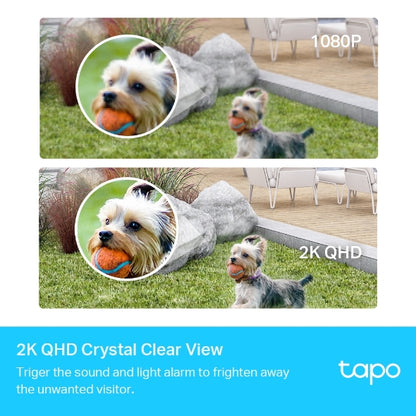 Tp-Link Tapo C420S2 I Smart Wire-Free Security Camera System, 2-Camera System