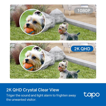 Tp-Link Tapo C420S1 I Smart Wire-Free Security Camera System, 1-Camera System