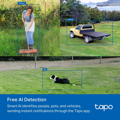 Tp-Link Tapo C501GW I Outdoor Pan/Tilt 4G LTE Camera
