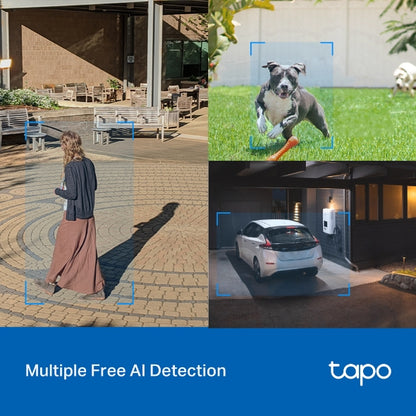 Tp-Link Tapo C520WS I Outdoor Pan/Tilt Security Wi-Fi Camera